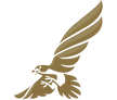 airplane-icon